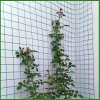 Garden Trellis Netting Iron Wire Mesh for Climbing Plants Roses Vines Wall Mounted Support Outdoor Fixed Bracket