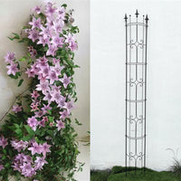 Garden Outdoor Water Pipe Grid Plant Support for Climbing Vines, Roses, Clematis, and Tortoise Shell Plants