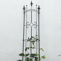 Garden Outdoor Water Pipe Grid Plant Support for Climbing Vines, Roses, Clematis, and Tortoise Shell Plants