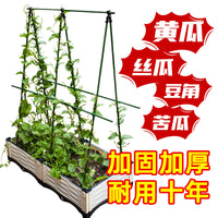 Cucumber Climbing Trellis Bean Vegetable Support Frame Coated Steel Pipe Plant Stand for Gardening