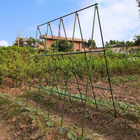 Cucumber Climbing Trellis Bean Vegetable Support Frame Coated Steel Pipe Plant Stand for Gardening