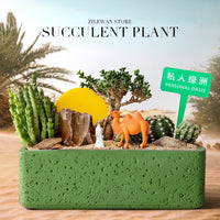 Desert Oasis Cactus Potted Plant Creative Succulent Office Living Room Desktop Greenery Gift with Watering Can
