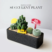 Desert Oasis Cactus Potted Plant Creative Succulent Office Living Room Desktop Greenery Gift with Watering Can