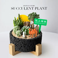 Private Oasis Cactus Succulent Potted Plant Combination for Office Living Room Desktop Greenery Creative Birthday Gift