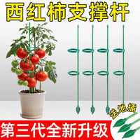 Tomato Support Stakes Plant Climbing Frame Garden Balcony Potted Plant Fixing Rod Anti-Toppling Support for Tomatoes Peppers