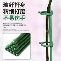 Tomato Support Stakes Plant Climbing Frame Garden Balcony Potted Plant Fixing Rod Anti-Toppling Support for Tomatoes Peppers