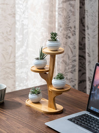 Multi-tier Foldable Indoor Balcony Plant Stand for Succulents and Orchids, Living Room Display Shelf, Non-Solid Wood