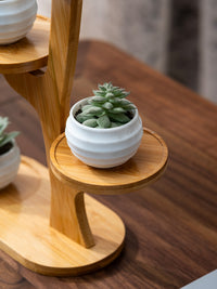 Multi-tier Foldable Indoor Balcony Plant Stand for Succulents and Orchids, Living Room Display Shelf, Non-Solid Wood