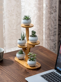 Multi-tier Foldable Indoor Balcony Plant Stand for Succulents and Orchids, Living Room Display Shelf, Non-Solid Wood