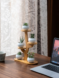 Multi-tier Foldable Indoor Balcony Plant Stand for Succulents and Orchids, Living Room Display Shelf, Non-Solid Wood