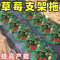 Strawberry Plant Support Stand for Potted Plants Balcony Garden Rot Prevention