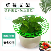 Strawberry Plant Support Stand for Potted Plants Balcony Garden Rot Prevention