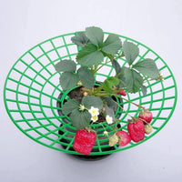Strawberry Plant Support Stand for Potted Plants Balcony Garden Rot Prevention
