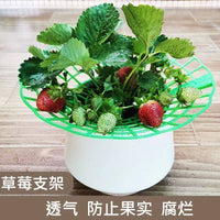 Strawberry Plant Support Stand for Potted Plants Balcony Garden Rot Prevention