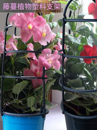 Plastic Plant Support Trellis for Climbing Vines, Potted Flowers, Clematis, and Balcony Plants