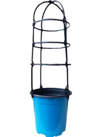 Plastic Plant Support Trellis for Climbing Vines, Potted Flowers, Clematis, and Balcony Plants