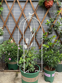 Wrought Iron Folding Birdcage Trellis for Climbing Plants, Balcony and Garden Decoration, Vintage Indoor Outdoor Clematis Support Stand