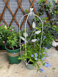 Wrought Iron Folding Birdcage Trellis for Climbing Plants, Balcony and Garden Decoration, Vintage Indoor Outdoor Clematis Support Stand