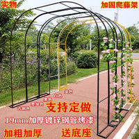 Easy Iron Arch Flower Stand Climbing Vine Support for Grapes Roses Wisteria Garden Trellis