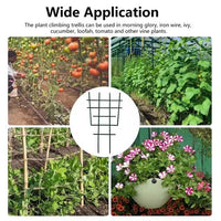 Garden Rose Support Stakes Plant Climbing Trellis for Potted Plants and Vines