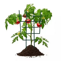 Garden Rose Support Stakes Plant Climbing Trellis for Potted Plants and Vines