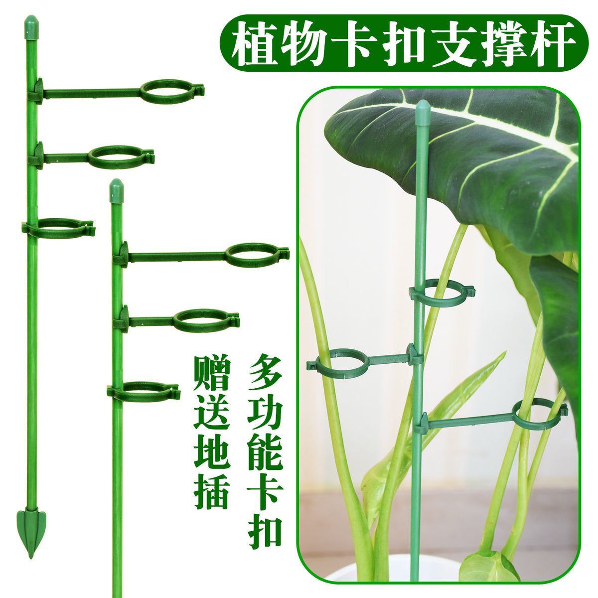 Adjustable Plant Support Stakes for Potted Plants, Monstera, Bird of Paradise, Velvet Leaf - Garden Anti-Toppling Fixation Stand