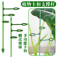 Adjustable Plant Support Stakes for Potted Plants, Monstera, Bird of Paradise, Velvet Leaf - Garden Anti-Toppling Fixation Stand