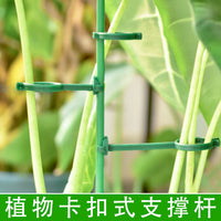 Adjustable Plant Support Stakes for Potted Plants, Monstera, Bird of Paradise, Velvet Leaf - Garden Anti-Toppling Fixation Stand