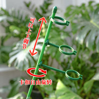 Adjustable Plant Support Stakes for Potted Plants, Monstera, Bird of Paradise, Velvet Leaf - Garden Anti-Toppling Fixation Stand