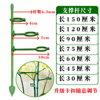 Adjustable Plant Support Stakes for Potted Plants, Monstera, Bird of Paradise, Velvet Leaf - Garden Anti-Toppling Fixation Stand