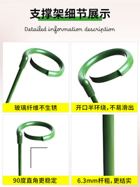 Plant Support Stakes for Monstera Deliciosa, Amaryllis, Lily, and Tomato Vines - Garden Trellis for Anti-Toppling and Climbing Plants