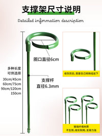 Plant Support Stakes for Monstera Deliciosa, Amaryllis, Lily, and Tomato Vines - Garden Trellis for Anti-Toppling and Climbing Plants