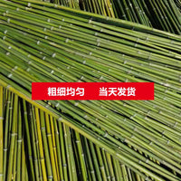Bamboo Garden Stakes for Climbing Plants - Cucumber, Tomato, Bean Trellis Support Poles