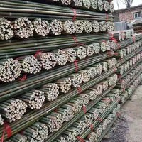 Bamboo Garden Stakes for Climbing Plants - Cucumber, Tomato, Bean Trellis Support Poles