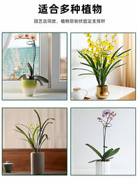 Monstera Deliciosa Plant Support Stakes, Anti-Toppling Garden Flower Stand for Potted Plants, Amaryllis, and Roses