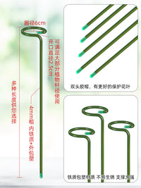 Monstera Deliciosa Plant Support Stakes, Anti-Toppling Garden Flower Stand for Potted Plants, Amaryllis, and Roses