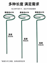 Monstera Deliciosa Plant Support Stakes, Anti-Toppling Garden Flower Stand for Potted Plants, Amaryllis, and Roses