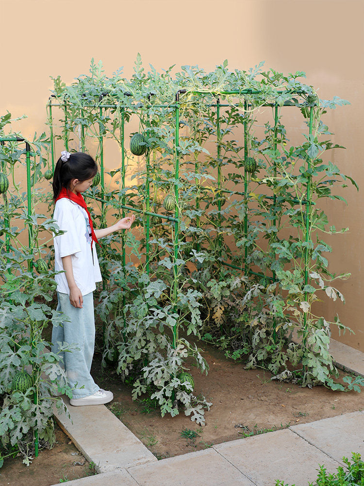 Adjustable Plant Support Trellis for Climbing Vegetables and Fruits - Watermelon, Cucumber, Tomato, Bean Plant Grow Cage