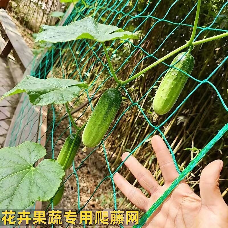 Plant Climbing Net for Cucumber, Bitter Gourd, Loofah, and Grape Vines - Agricultural Trellis Support Net