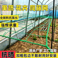 Plant Climbing Net for Cucumber, Bitter Gourd, Loofah, and Grape Vines - Agricultural Trellis Support Net