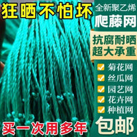 Plant Climbing Net for Cucumber, Bitter Gourd, Loofah, and Grape Vines - Agricultural Trellis Support Net