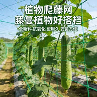 Plant Climbing Net for Cucumber, Bitter Gourd, Loofah, and Grape Vines - Agricultural Trellis Support Net