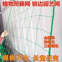 Garden Trellis Netting for Climbing Plants, Fruits, and Vegetables - Passion Fruit, Grape, and Vine Support Net