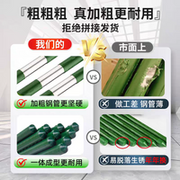 30-Pack Plastic-Coated Steel Plant Support Stakes for Climbing Vines, Garden Trellis for Grapes, Cucumbers, Beans, and Loofah