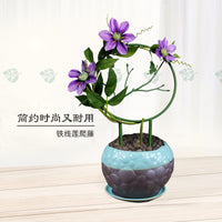 2025 New Plant Support Trellis for Climbing Plants, Clematis, Pothos, and Vines - Balcony Flower Stand