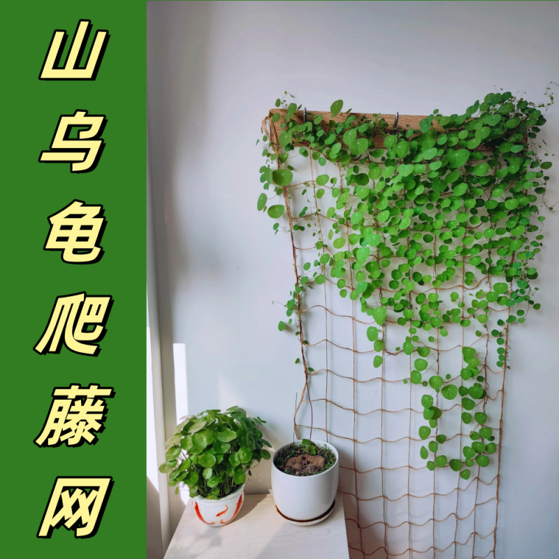 Climbing Plant Support Net for Moonflower, Rose, and Green Vines - Soft Hemp Rope Imitation Grid Trellis