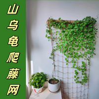 Climbing Plant Support Net for Moonflower, Rose, and Green Vines - Soft Hemp Rope Imitation Grid Trellis
