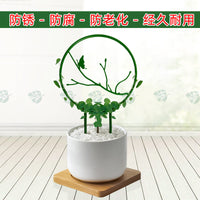 2025 New Plant Support Trellis for Climbing Plants, Clematis, Pothos, and Vines - Balcony Flower Stand