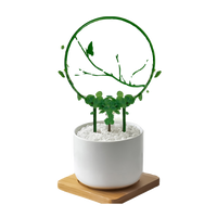 2025 New Plant Support Trellis for Climbing Plants, Clematis, Pothos, and Vines - Balcony Flower Stand