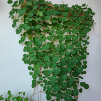 Climbing Plant Support Net for Moonflower, Rose, and Green Vines - Soft Hemp Rope Imitation Grid Trellis